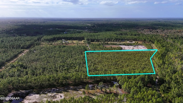 Listing photo 2 for 3 Chesser Hammock Rd, Pierson FL 32180