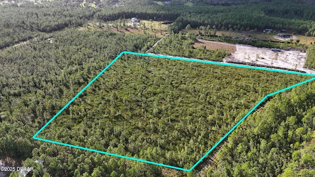 Listing photo 3 for 3 Chesser Hammock Rd, Pierson FL 32180