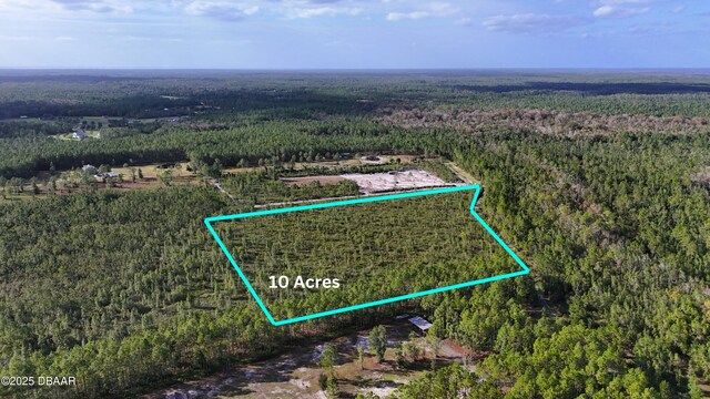 3 Chesser Hammock Rd, Pierson FL, 32180 land for sale