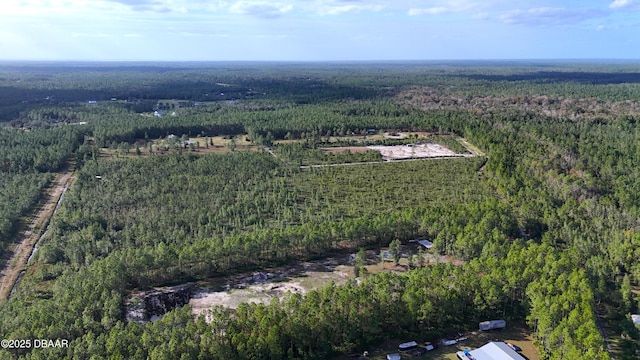 3 Chesser Hammock Rd, Pierson, FL 32180