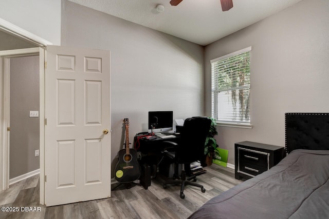 home office featuring ceiling fan and light hardwood / wood-style flooring