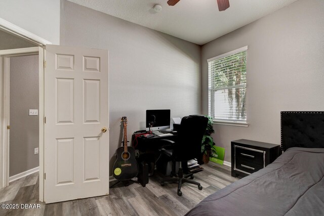 105 Boysenberry Ln, Daytona Beach, FL 32124 - photo 24