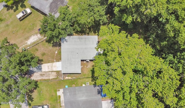 430 Dorothy Ave, Holly Hill, FL 32117 - photo 25