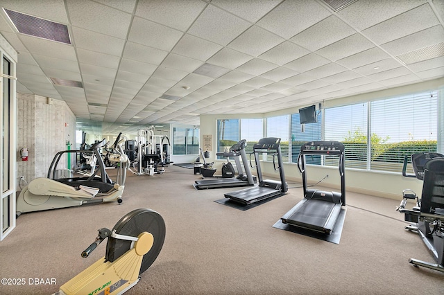 2937 S Atlantic Ave Unit 209, Daytona Beach Shores, FL 32118 - workout area featuring carpet and a drop ceiling