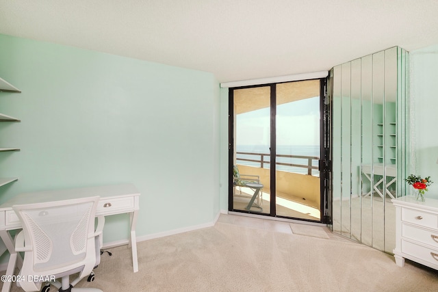 office featuring a water view and light colored carpet