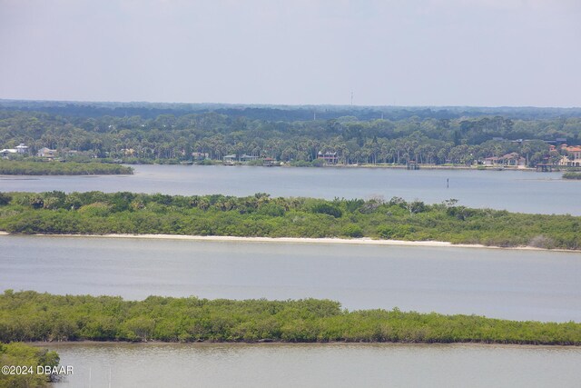 3855 S Atlantic Ave Unit 1206B, Daytona Beach Shores, FL 32118 - water view featuring a forest