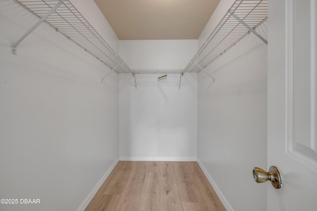 805 Spruce St, New Smyrna Beach, FL 32168 - walk in closet with light wood-style flooring