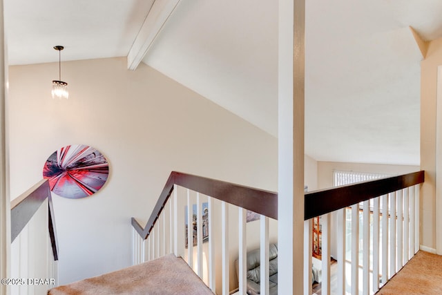 stairs with lofted ceiling with beams and carpet floors