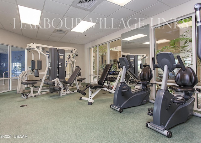 4650 Links Village Dr Unit C-505, Ponce Inlet, FL 32127 - workout area with a drop ceiling and healthy amount of natural light