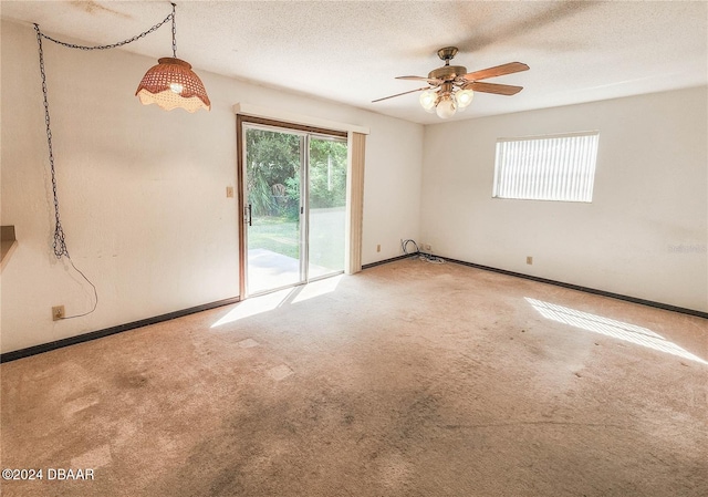 spare room with a textured ceiling and carpet flooring