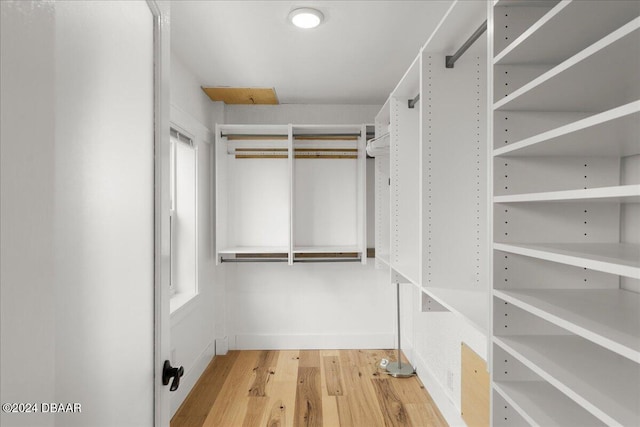 walk in closet with light hardwood / wood-style flooring