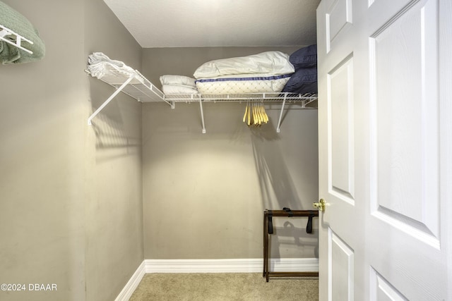 2071 S Atlantic Ave Unit 605, Daytona Beach, FL 32118 - spacious closet featuring carpet flooring