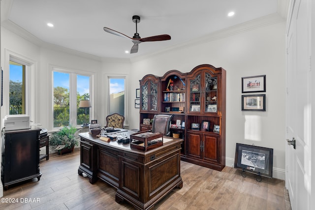 office featuring light wood-type flooring, ceiling fan, and crown molding