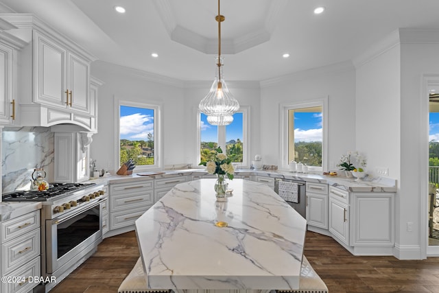 kitchen with appliances with stainless steel finishes, light stone countertops, hanging light fixtures, a kitchen island, and dark hardwood / wood-style flooring