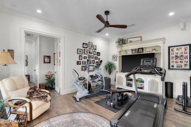 workout area featuring hardwood / wood-style floors, ceiling fan, and ornamental molding