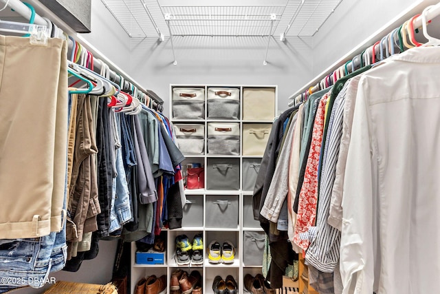 view of walk in closet