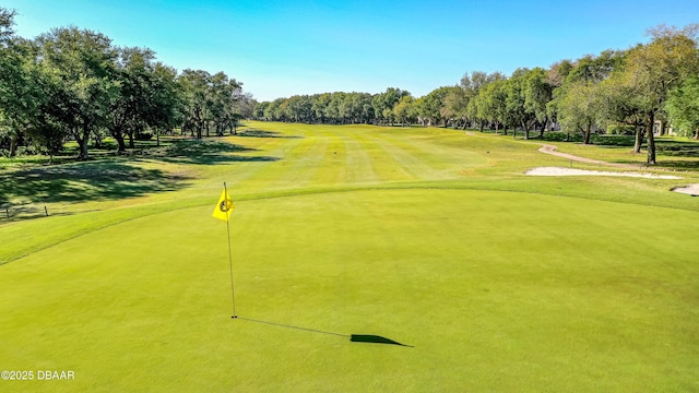 4121 Salina Ln, Ormond Beach, FL 32174 - view of community featuring view of scattered trees and golf course view