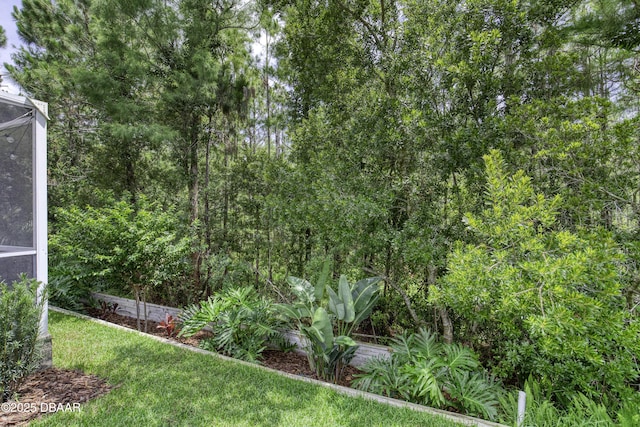 61 Levee Ln, Ormond Beach, FL 32174 - view of yard
