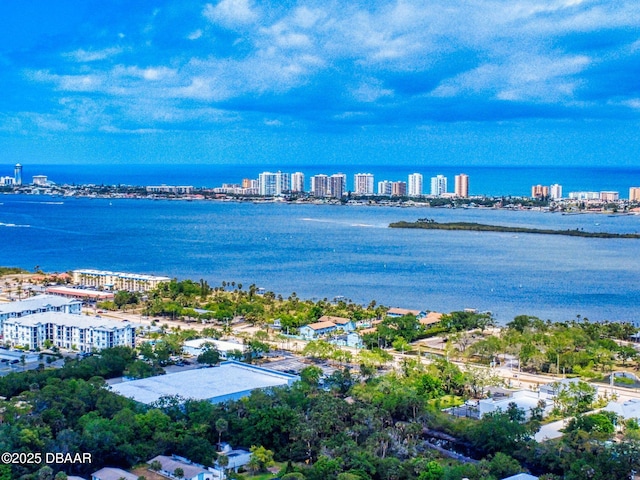 310 Legion Pl, Port Orange, FL 32129 - water view featuring a view of city