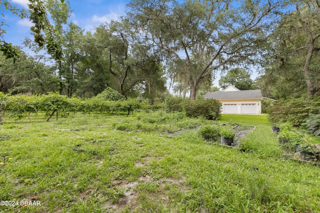 view of yard featuring a garage