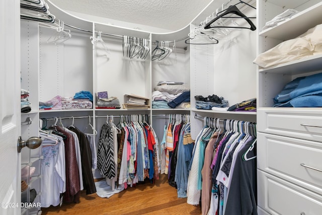 spacious closet featuring wood-type flooring