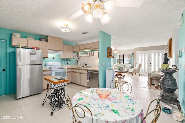 kitchen featuring sink, a textured ceiling, stainless steel appliances, and ceiling fan