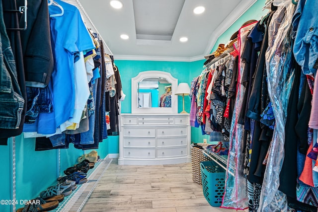 walk in closet with a tray ceiling and light hardwood / wood-style flooring