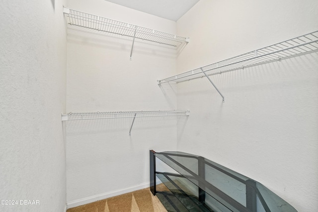 940 Village Trl Unit 3-203, Port Orange, FL 32127 - spacious closet with carpet floors