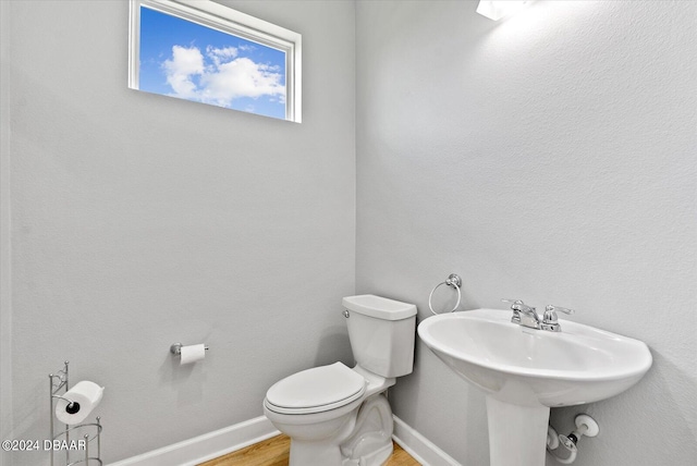 bathroom featuring toilet, sink, and hardwood / wood-style flooring