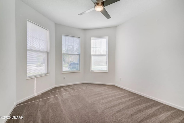 167 Margaritaville Ave, Daytona Beach, FL 32124 - photo 20