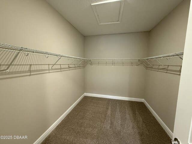 368 Birkdale Dr, Daytona Beach, FL 32124