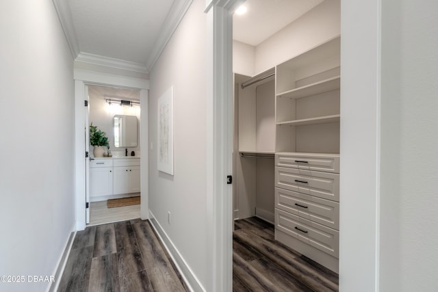 corridor featuring dark hardwood / wood-style floors and crown molding