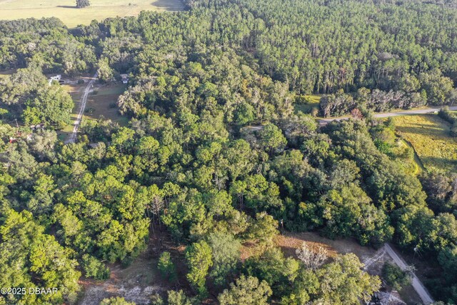 353 Sisco Dirt Rd, Satsuma, FL 32189