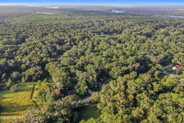353 Sisco Dirt Rd, Satsuma, FL 32189