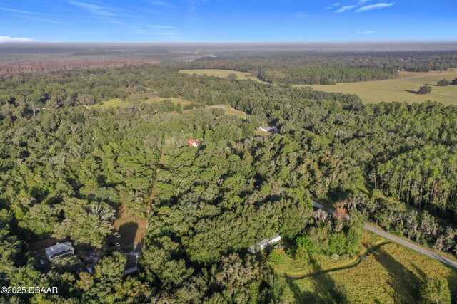 353 Sisco Dirt Rd, Satsuma, FL 32189