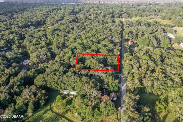 353 Sisco Dirt Rd, Satsuma FL, 32189 land for sale