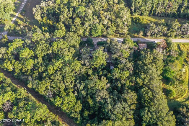 353 Sisco Dirt Rd, Satsuma, FL 32189