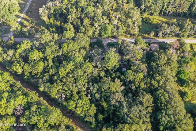 353 Sisco Dirt Rd, Satsuma, FL 32189