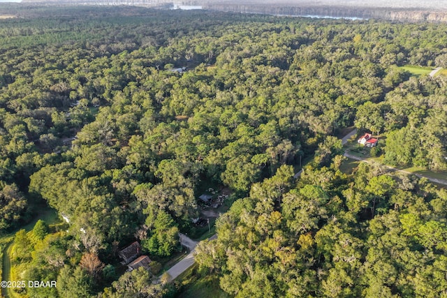 353 Sisco Dirt Rd, Satsuma, FL 32189