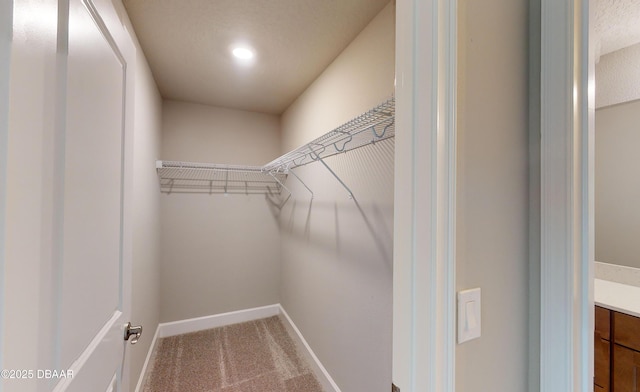 spacious closet featuring carpet floors