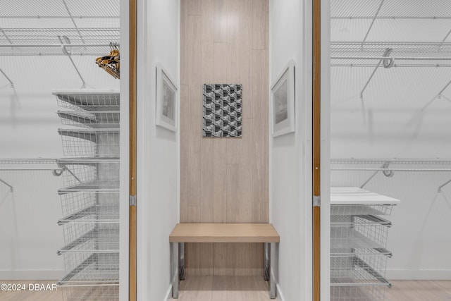 spacious closet featuring wood-type flooring