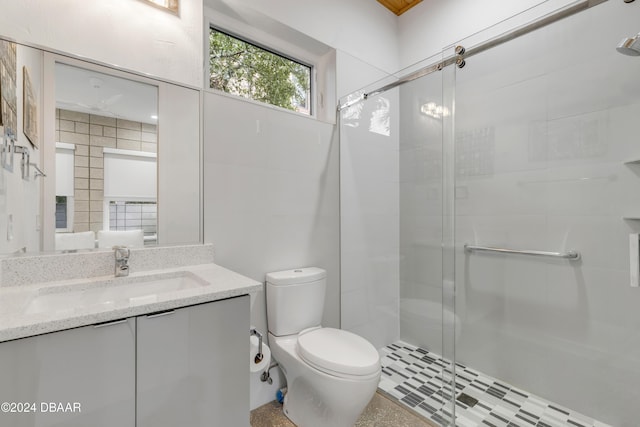 bathroom featuring vanity, toilet, and a shower with door