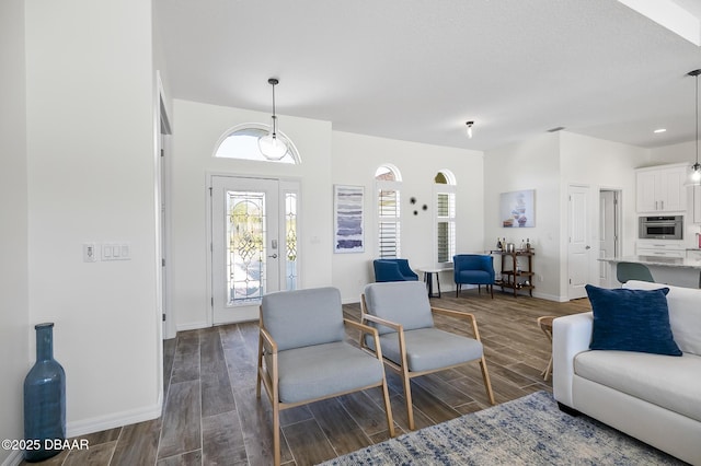 living room featuring dark wood-type flooring