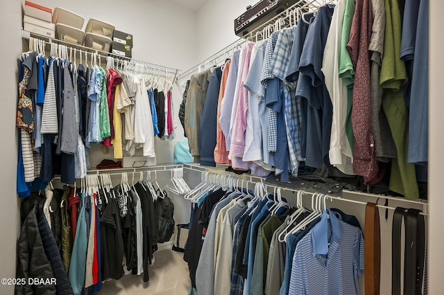 spacious closet featuring carpet