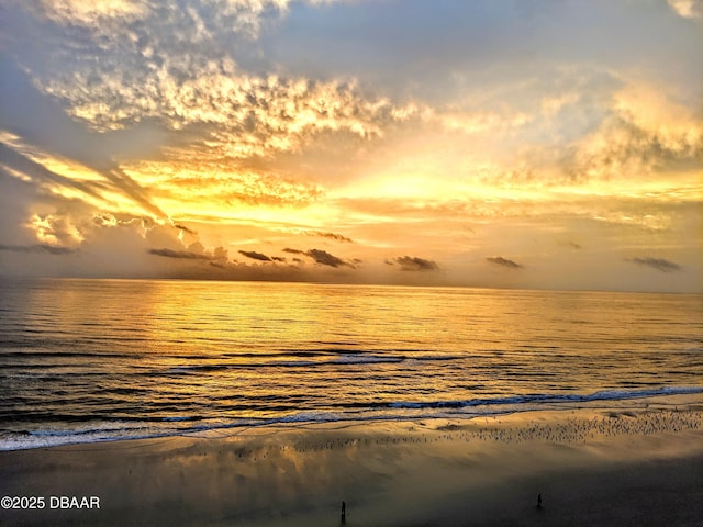 2967 S Atlantic Ave Unit 1404, Daytona Beach Shores, FL 32118 - photo 38