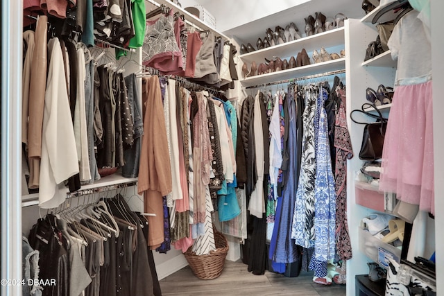 spacious closet with hardwood / wood-style flooring