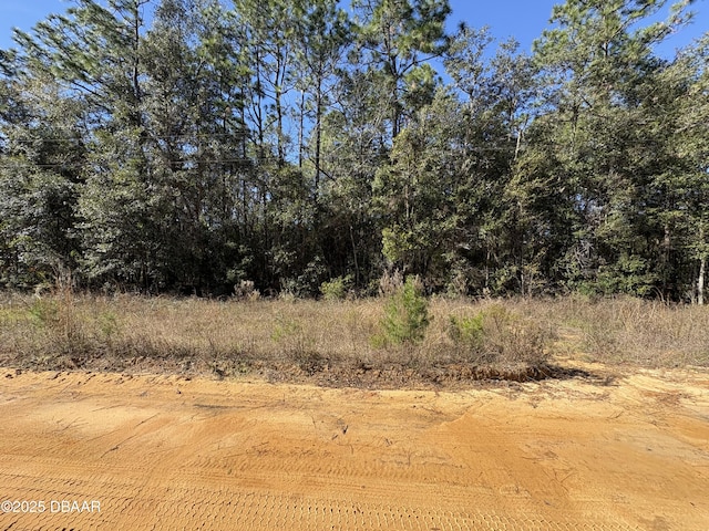 431 Brett Ave, Interlachen FL, 32148 land for sale