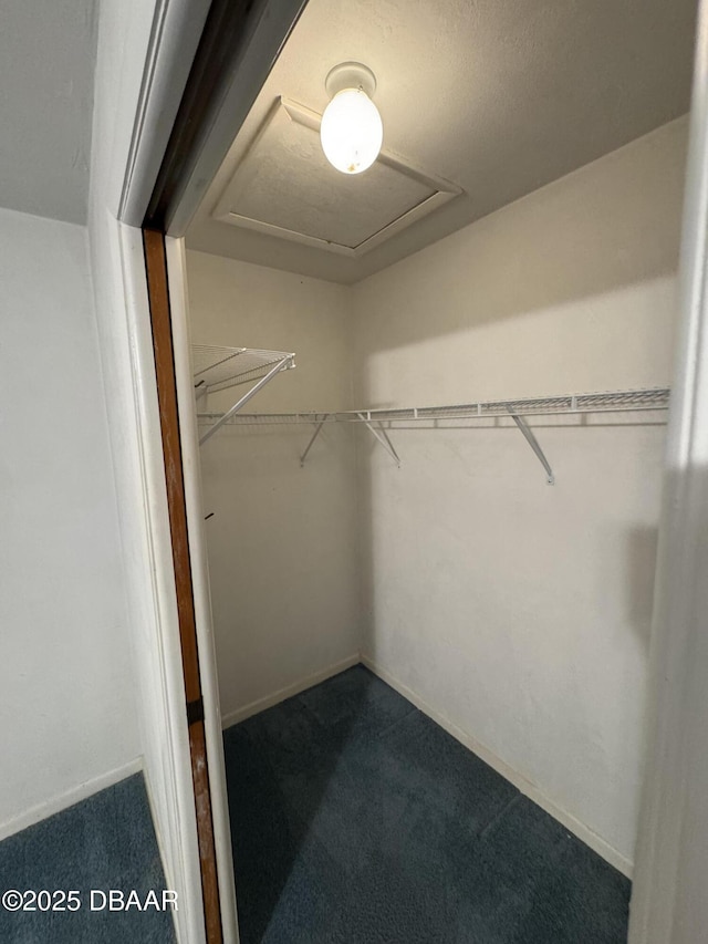 spacious closet featuring attic access and carpet flooring