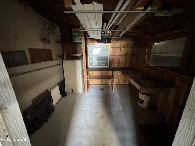 basement featuring wood walls