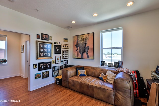 living room with hardwood / wood-style floors